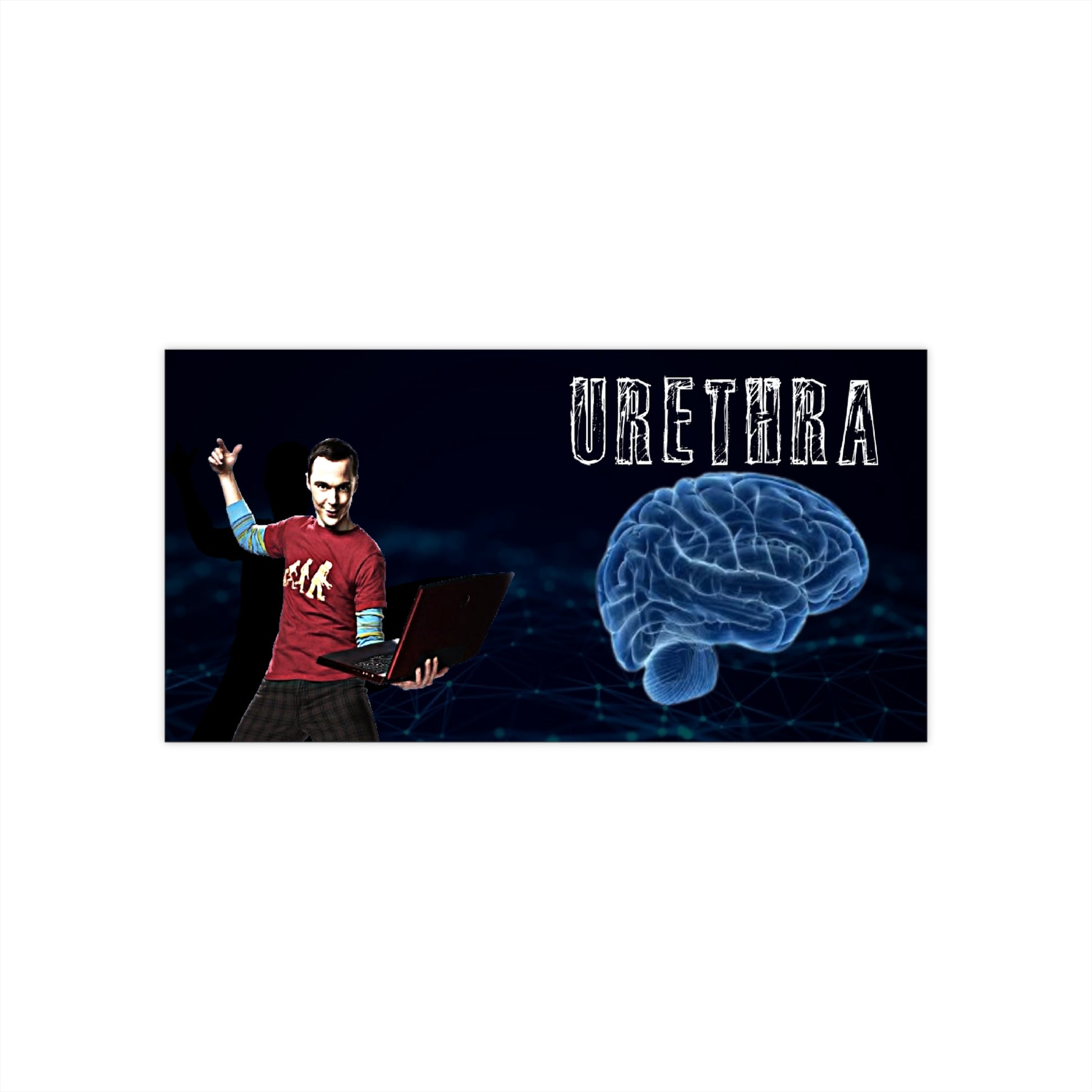 Humorous Urethra Bumper Stickers, Funny Car Decals, Nerdy Stickers for Cars, Geeky Gift, Unique Car Accessories