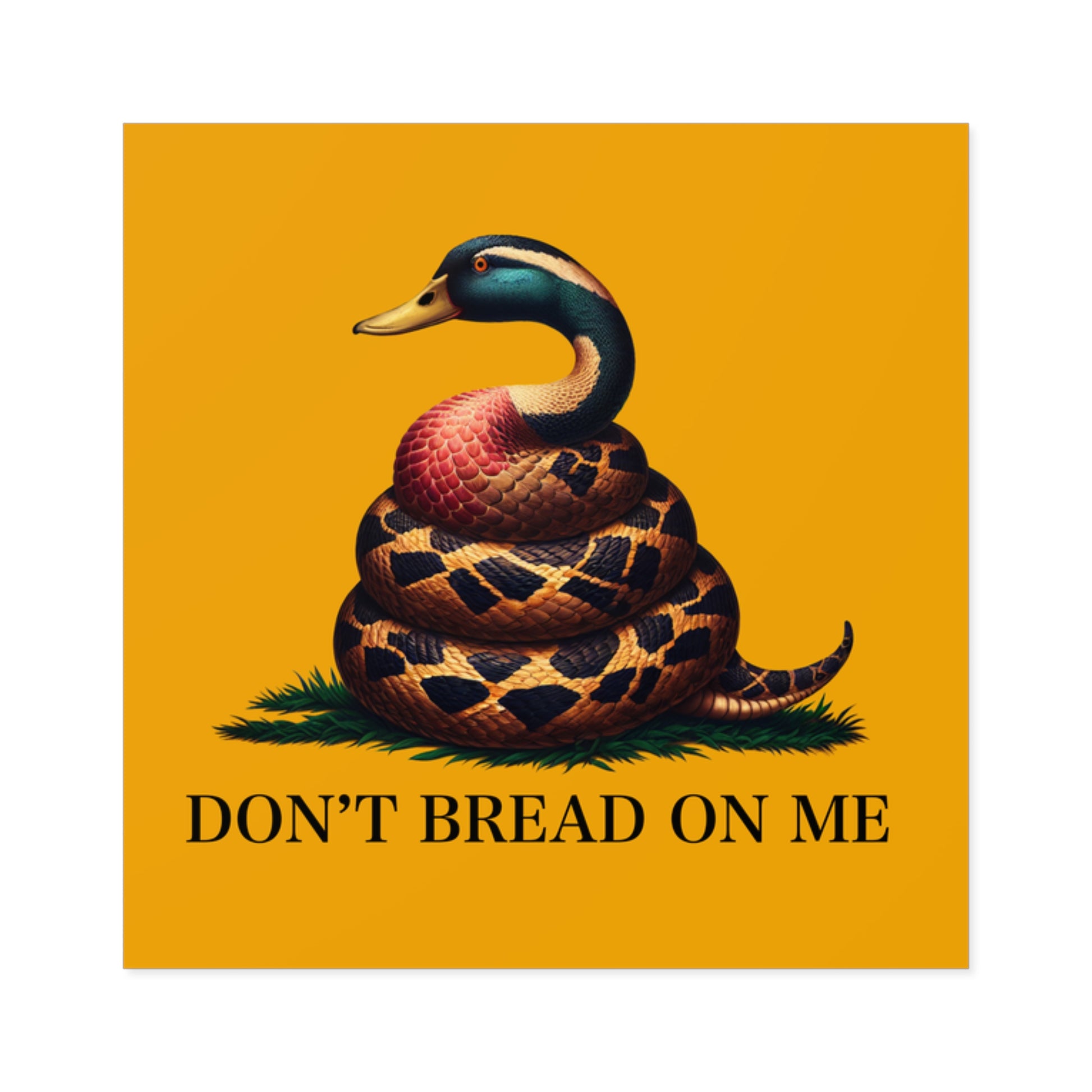 Funny Bumper Sticker - Don't Feed the Ducks with Clever Humor - Quirky Car Decal for Animal Lovers