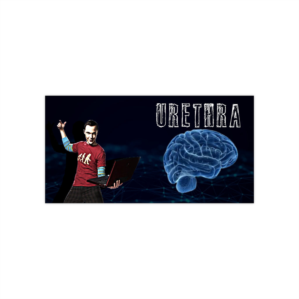 Humorous Urethra Bumper Stickers, Funny Car Decals, Nerdy Stickers for Cars, Geeky Gift, Unique Car Accessories