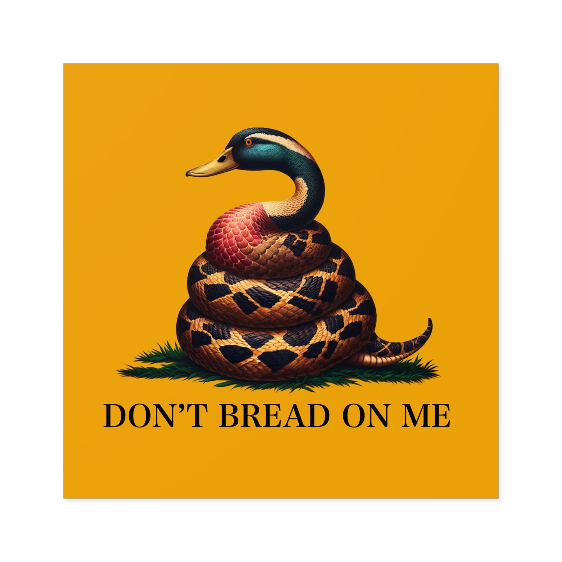 Funny Bumper Sticker - Don't Feed the Ducks with Clever Humor - Quirky Car Decal for Animal Lovers