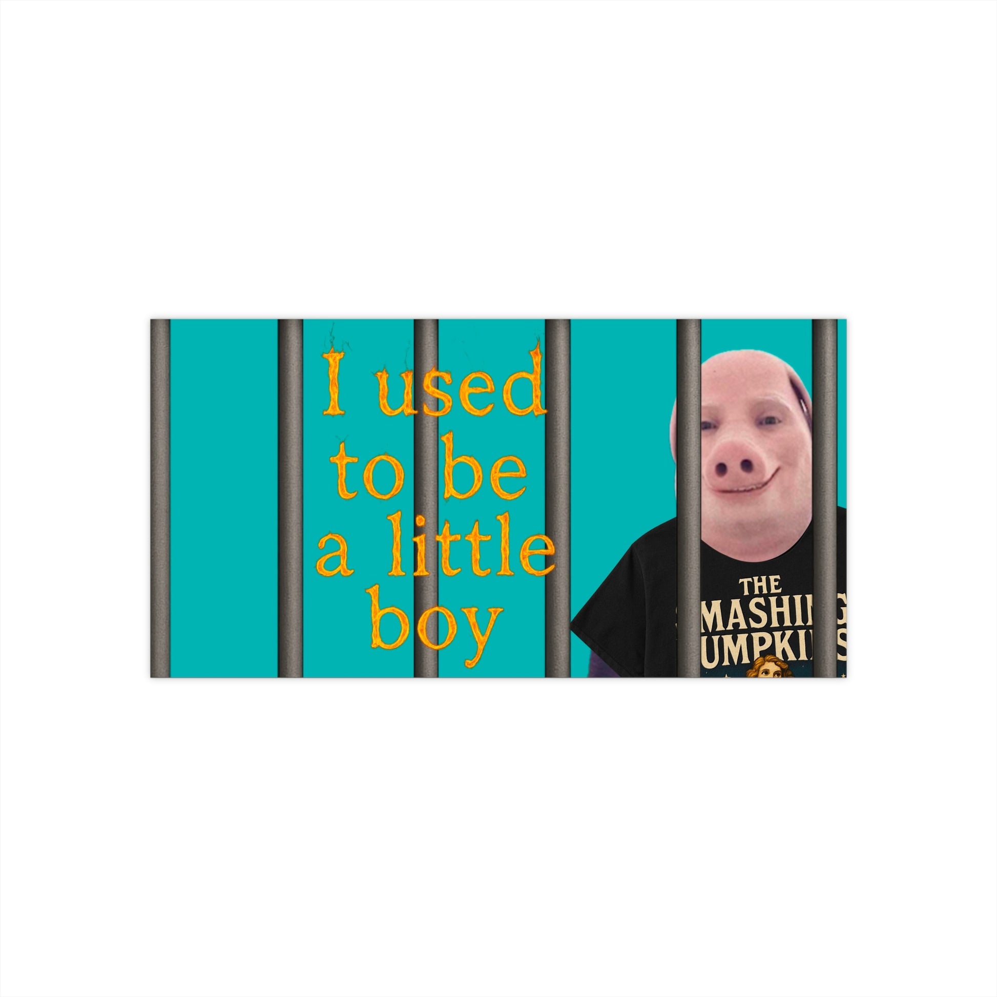 Funny John Pork Bumper Sticker - Smashing Pumpkins Lyric "I Used to Be a Little Boy" - Ironic Meme Car Decal - Jailcore Aesthetic